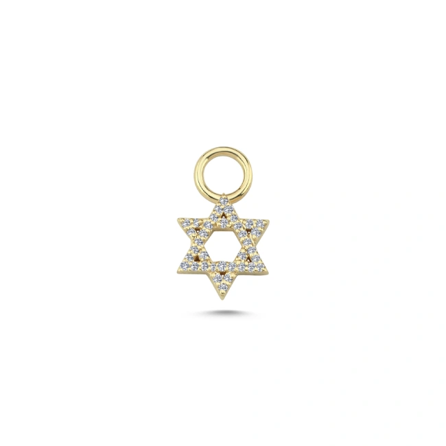 14k Gold Star of David Diamond Charm