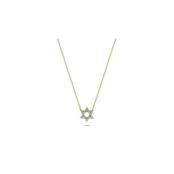 14k Gold Divina Necklace